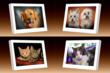 Valentine’s Day Gift Ideas from Blue Cloud Gallery